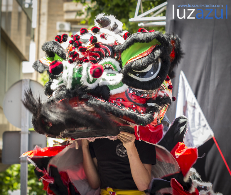 Exhibición de danzas de león chino. Festes Patronals Sant Vicent Ferrer. luzazul fotografía y comunicación. Raúl Rubio. La Vall d'Uixó, 2014