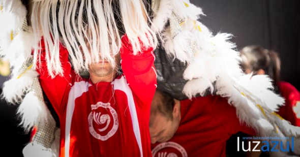 Leon chino Luzazul 2014-63