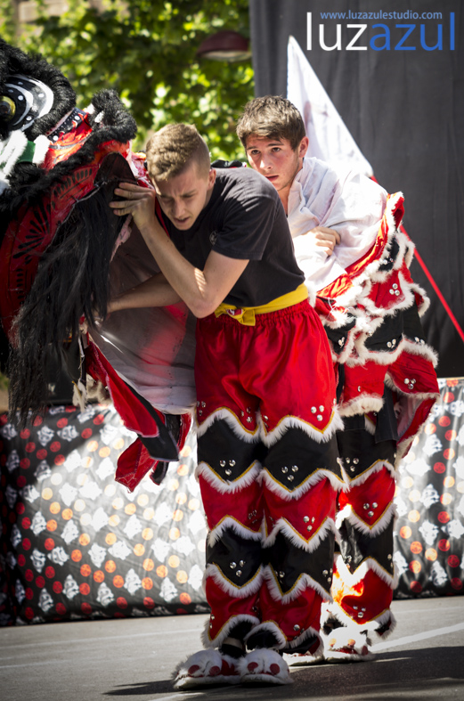 Exhibición de danzas de león chino. Festes Patronals Sant Vicent Ferrer. luzazul fotografía y comunicación. Raúl Rubio. La Vall d'Uixó, 2014