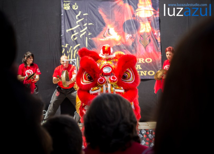 Exhibición de danzas de león chino. Festes Patronals Sant Vicent Ferrer. luzazul fotografía y comunicación. Raúl Rubio. La Vall d'Uixó, 2014