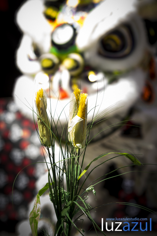 Exhibición de danzas de león chino. Festes Patronals Sant Vicent Ferrer. luzazul fotografía y comunicación. Raúl Rubio. La Vall d'Uixó, 2014