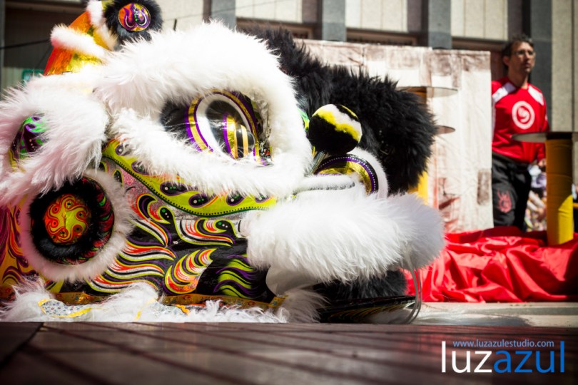 Exhibición de danzas de león chino. Festes Patronals Sant Vicent Ferrer. luzazul fotografía y comunicación. Raúl Rubio. La Vall d'Uixó, 2014