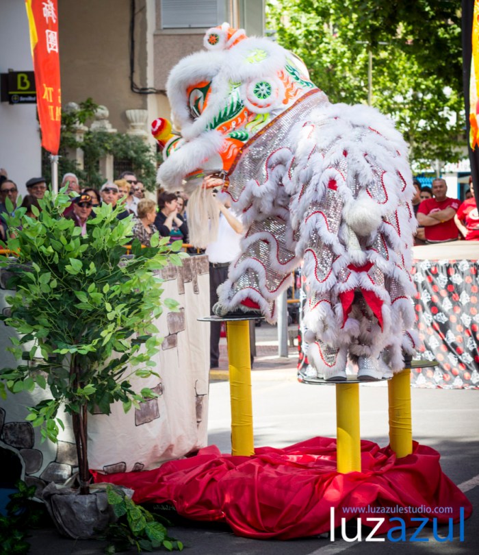 Exhibición de danzas de león chino. Festes Patronals Sant Vicent Ferrer. luzazul fotografía y comunicación. Raúl Rubio. La Vall d'Uixó, 2014