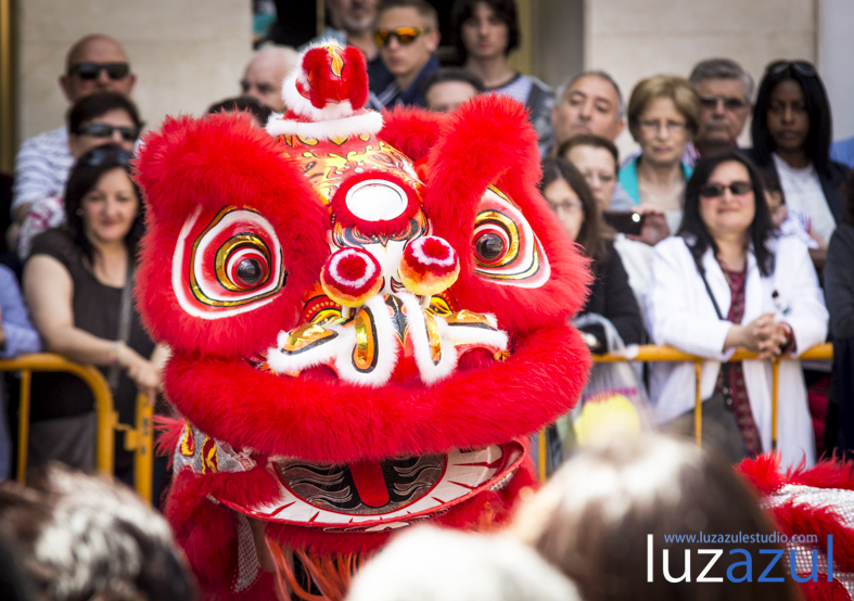 Exhibición de danzas de león chino. Festes Patronals Sant Vicent Ferrer. luzazul fotografía y comunicación. Raúl Rubio. La Vall d'Uixó, 2014