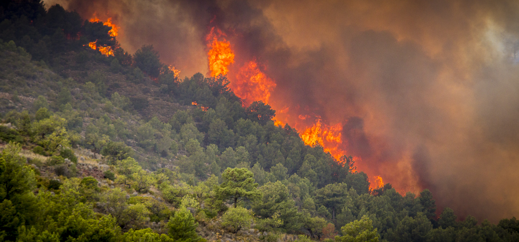 Incendio forestal en la Vall d'Uixó. 2014. Luzazul estudio (Raúl Rubio)
