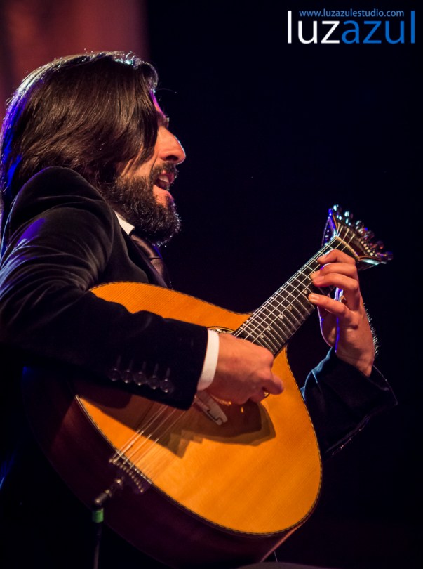 Concierto Carminho_Vouzela 2014_Raul Rubio_luzazul estudio-9. Luís Guerreiro