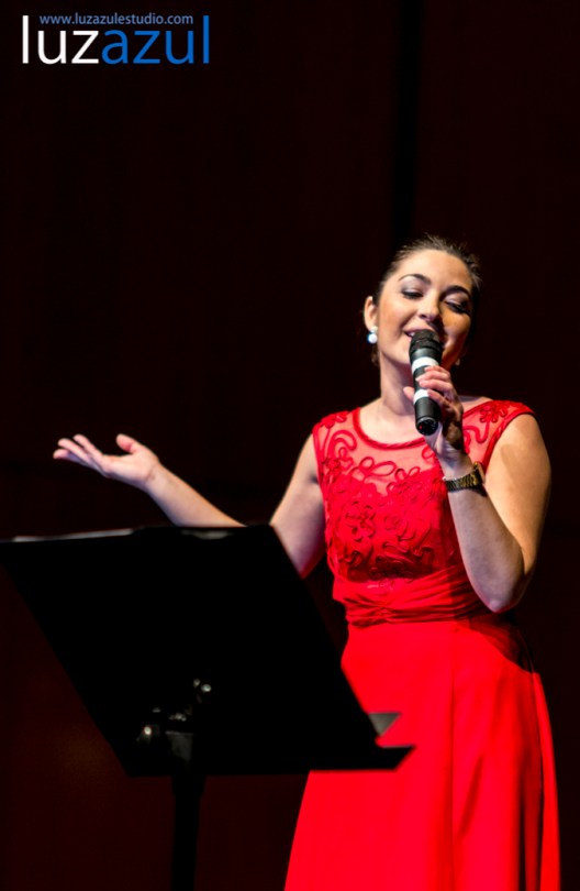 Concierto de Peluts Productions en el Edificio Cultural Leopoldo Peñarroja de la Vall d'Uixó. Foto: Raúl Rubio. www.luzazulestudio.com. Marzo de 2015