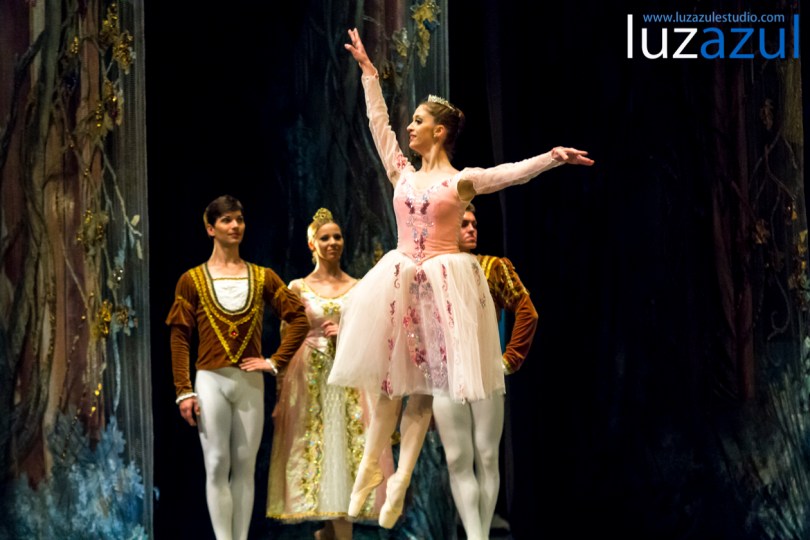 El Ballet de Moscú representa 'El lago de los cisnes' en el Auditori de la Vall. Foto: Raúl Rubio (www.luzazulestudio.com). Mayo 2015