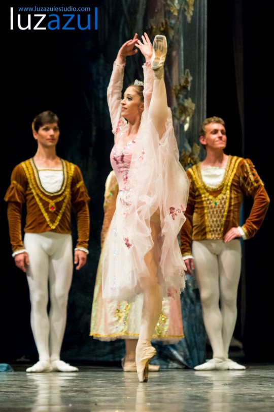 El Ballet de Moscú representa 'El lago de los cisnes' en el Auditori de la Vall. Foto: Raúl Rubio (www.luzazulestudio.com). Mayo 2015