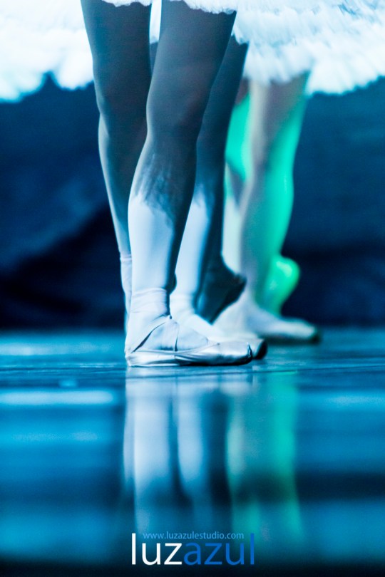 El Ballet de Moscú representa 'El lago de los cisnes' en el Auditori de la Vall. Foto: Raúl Rubio (www.luzazulestudio.com). Mayo 2015